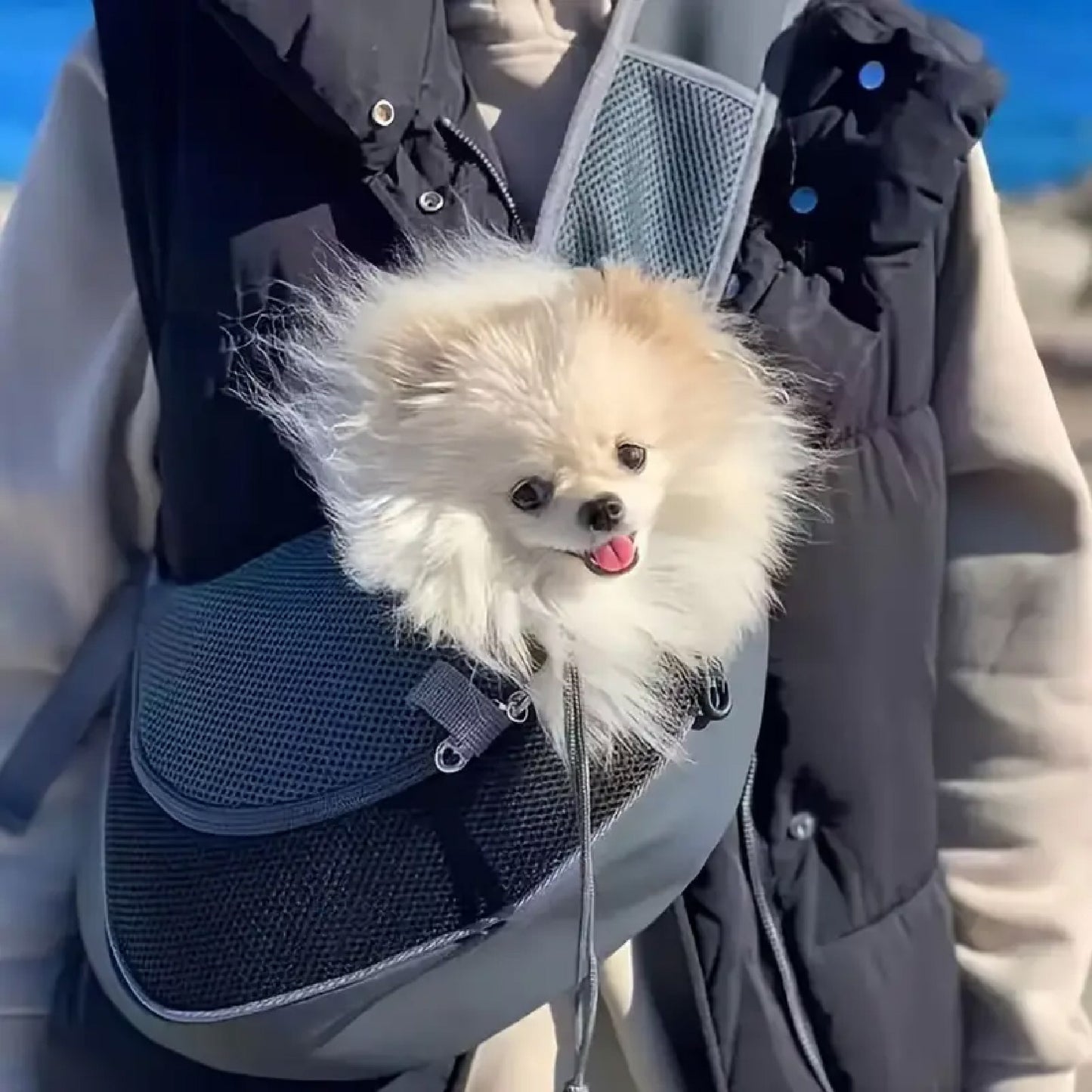 🐾 Mochila Cargador para Mascotas